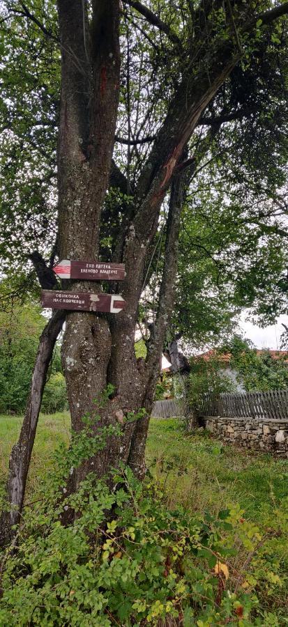 Старата Къща - Трявна Villa Eksteriør bilde